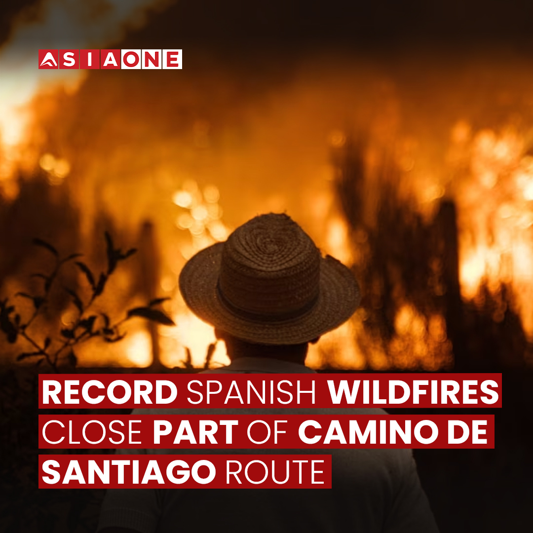 AsiaOne_News's tweet photo. Record Spanish Wildfires Close Part of Camino de Santiago Route | Asia One News
#AsiaOne #Englishnews #asiaonenews #SpanishWildfires #CaminoDeSantiago #WildfireDamage https://t.co/Edkw6cp5Gz