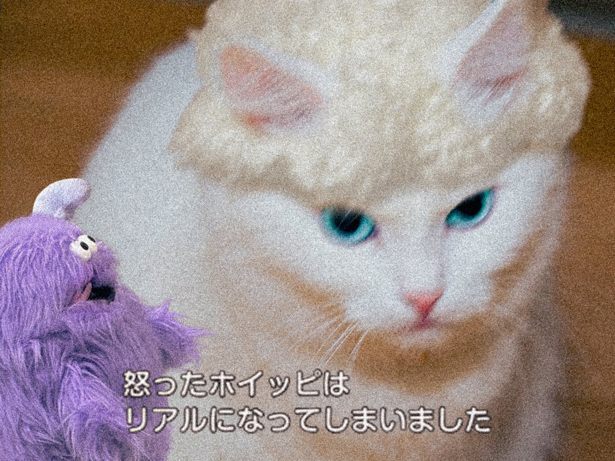 spring52212's tweet photo. https://t.co/x7Pry1mpkw