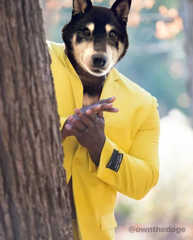 officialcocoro's tweet photo. @BinanceWallet On my way to raid this closet rn! https://t.co/I7VEdGBl8O