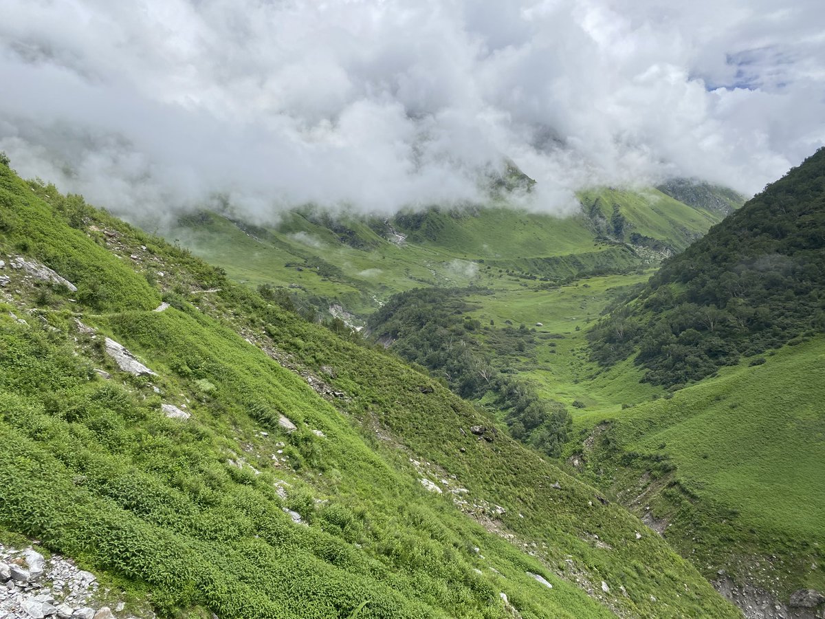 Er_chavda's tweet photo. @RichardMoglen Valley of flowers, Uttarakhand, Indian. A world heritage site https://t.co/YVZAP57hW2