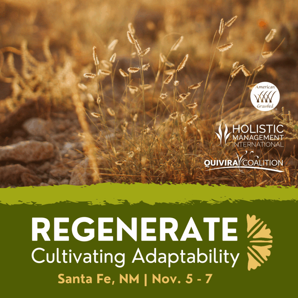 Holistic Mgmt. Int'l tweet media