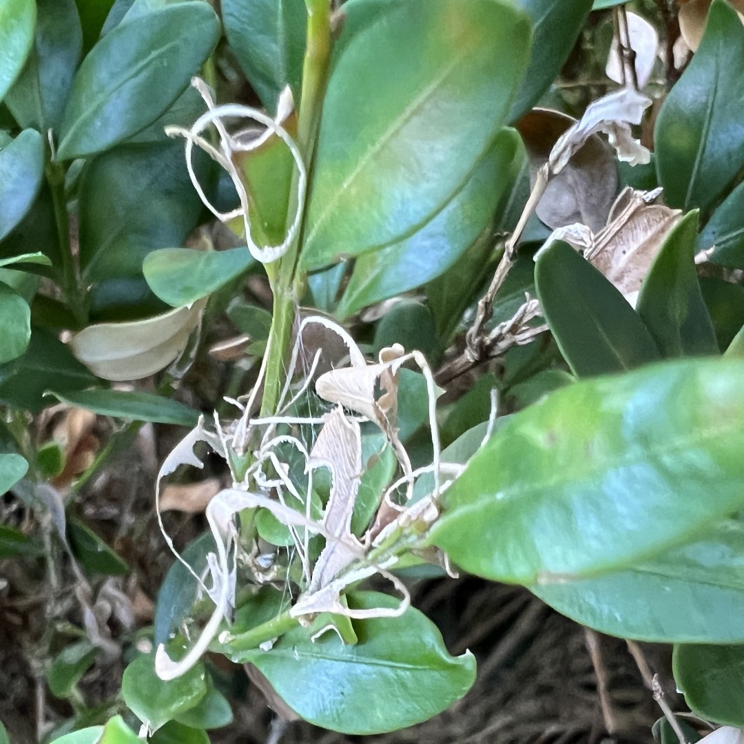 Indiana DNR EPP tweet media