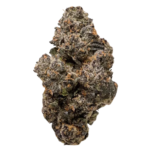 Supergreenshemp's tweet photo. Curious about Obama Runtz? 📷
This THCa-rich hybrid blends sweet, creamy flavors with balanced effects—uplifting for the mind, relaxing for the body. Great for evening focus, chill vibes, or creative flow.
#THCA #ObamaRuntz #CannabisEducation #KnowYourStrain #420Facts https://t.co/jTGnVxoaFq