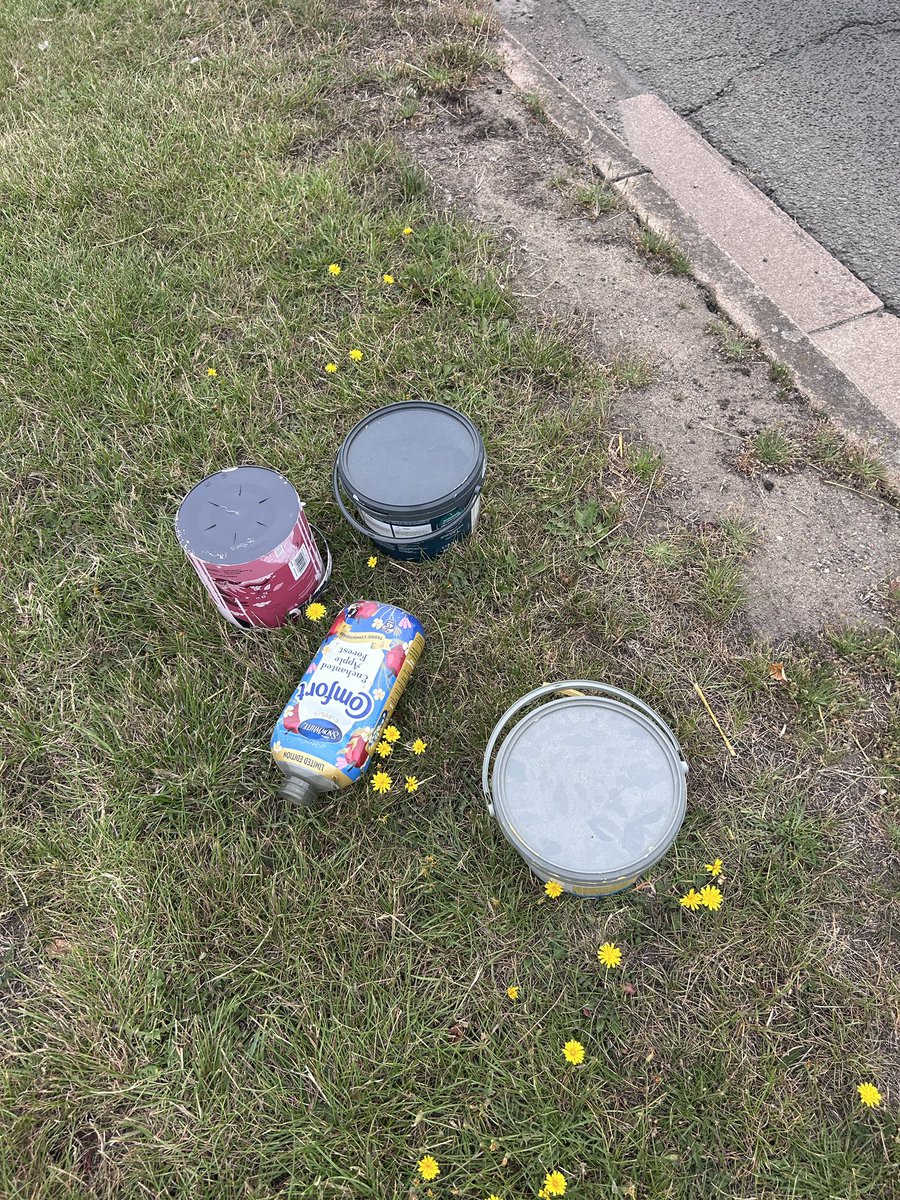 Steve Cook 📸 tweet media