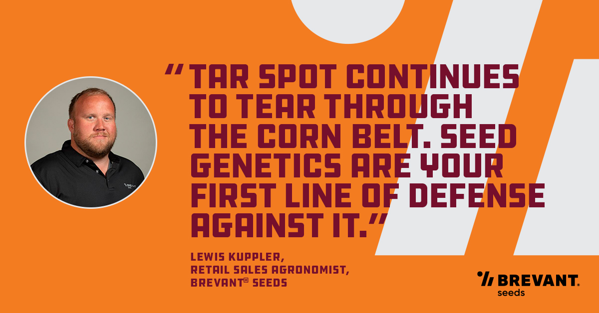 brownfield's tweet photo. As the 2025 corn crop matures, @BrevantseedsUS retail sales agronomist Lewis Kuppler says some common diseases are showing up. He tells Brownfield that pressure could impact seed selection for next season. #ManagingforProfit
Listen now at https://t.co/zF6FAHjZNs https://t.co/44WL9BTzJc
