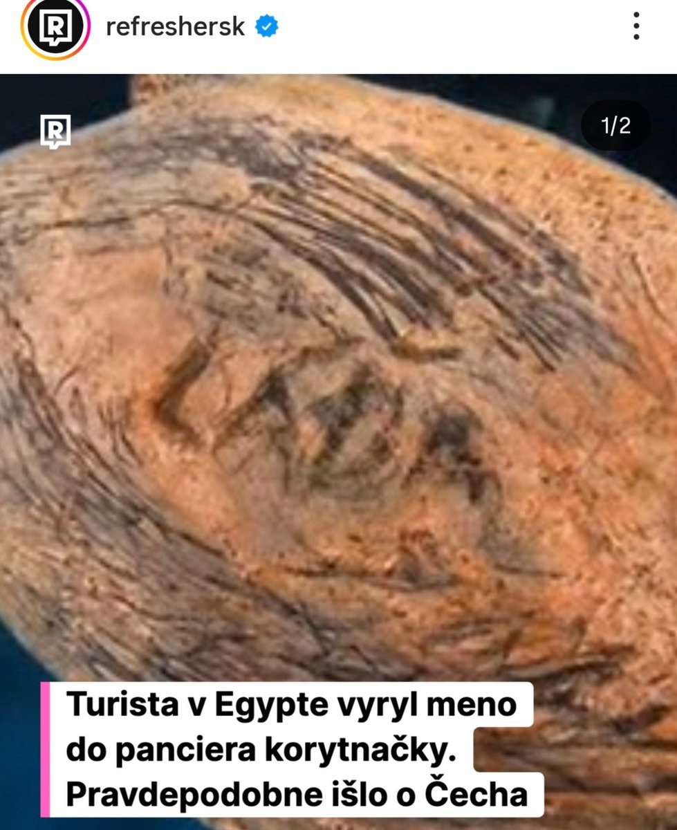 Česi, príďte radšej do Tatier kktiny robiť. Máme tu medvede.