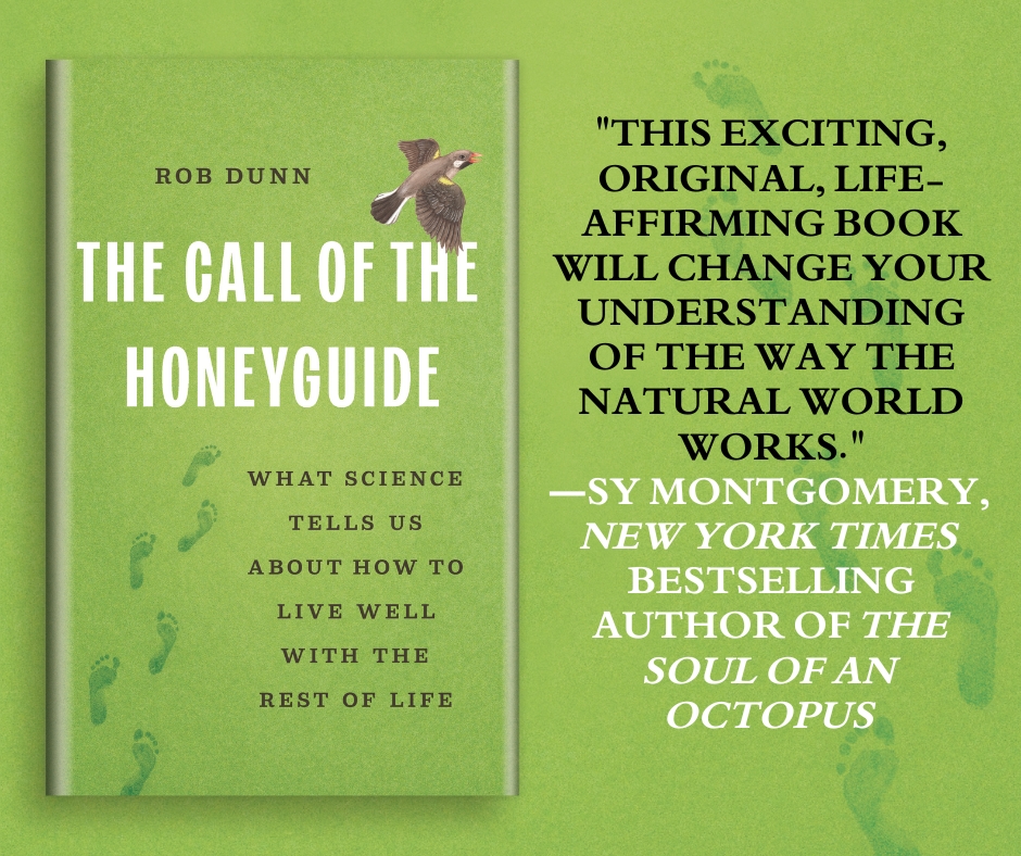 Basic Books tweet media