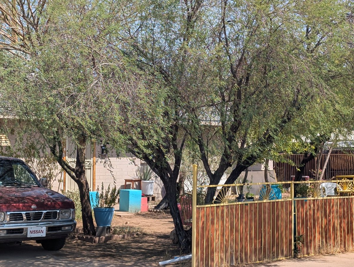 For my last week in SRP District 4 the Maryvale area gave me a teal tour. My fav color popped up everywhere, all week long, from doors, to planters, to shutters, to even a Corvette on the way out the door. I leave you in good hands District 4 as I bring the fight to District 1.