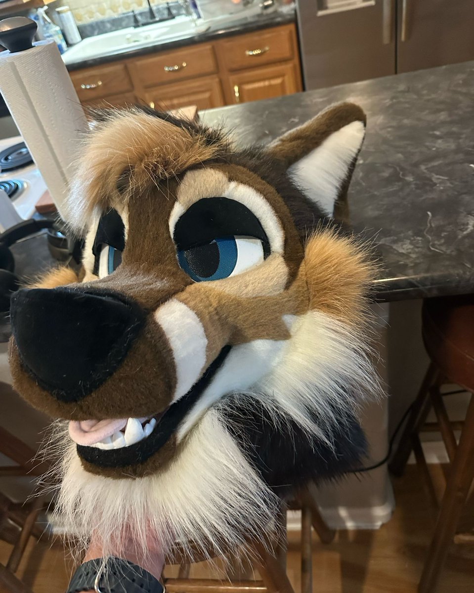 Look this dog! 
(Some minor fixes needed but close to done)