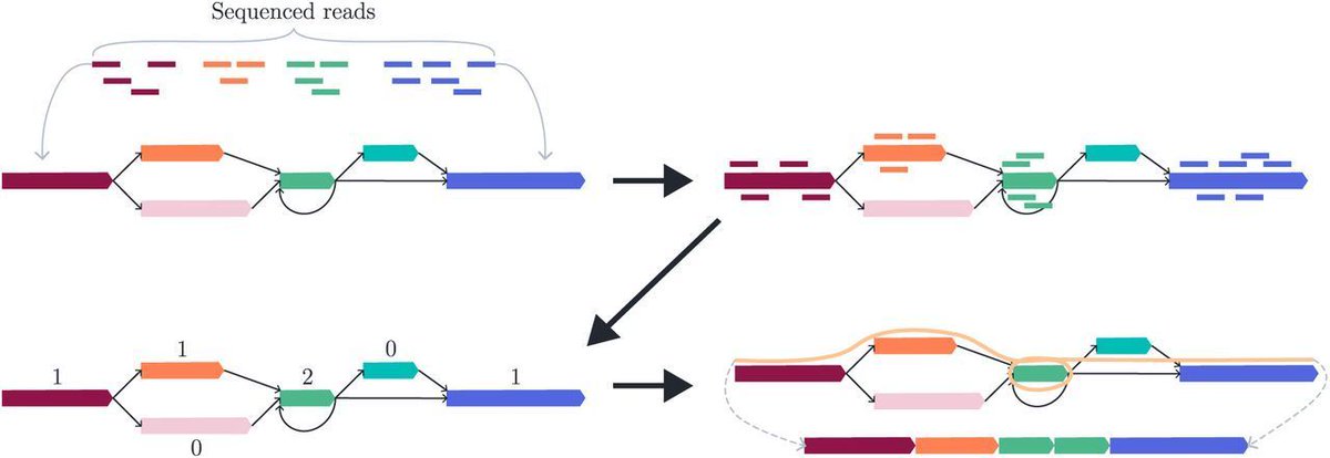 jsantoyo's tweet photo. Pangenome-guided sequence assembly via binary optimisation. #GenomeAssembly #PangenomeGuiedeAssembly @biorxiv_genomic
https://t.co/gQjXEhx6qa https://t.co/8XLZkUA9tU