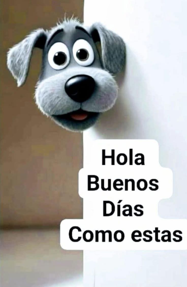 Sabueson (@sabueson) on Twitter photo 