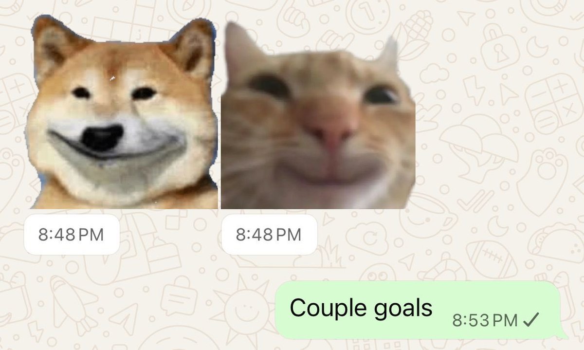 When you both have the same cognitive abilities 😍