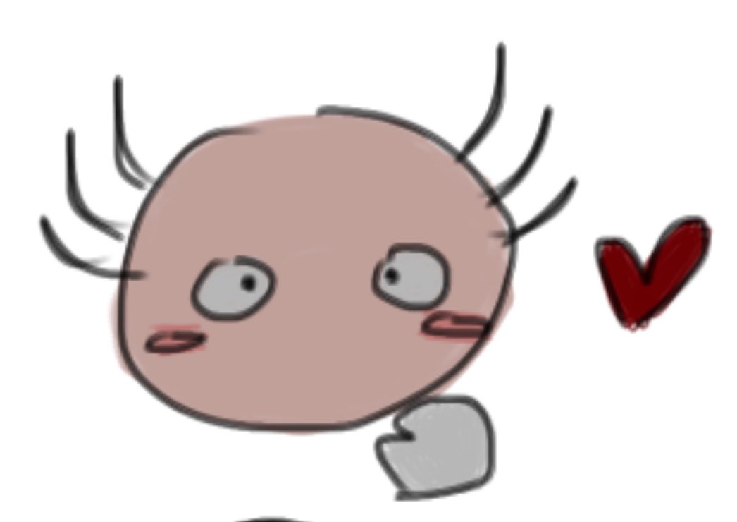 accesstinternet's tweet photo. What the hell is even that #kinitopet https://t.co/XgELMxr8pA