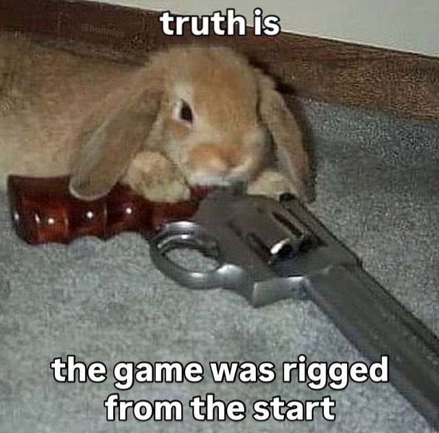 Bunnies (@bunnies) on Twitter photo 