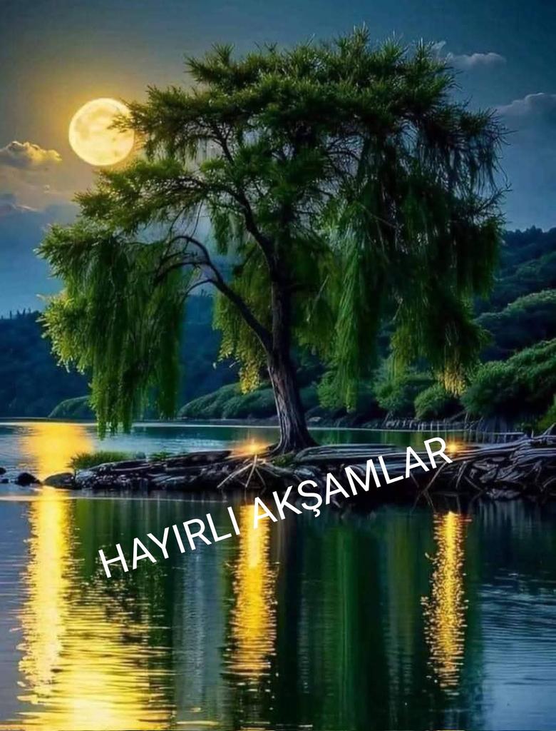 Sedat Arslan (@sedatar37734319) on Twitter photo 
