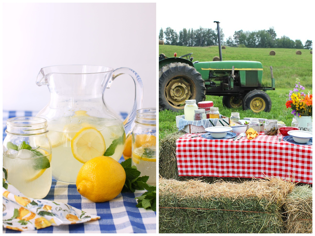 kitchenfrau's tweet photo. 🍋Fresh LEMONADE &amp; a Farm Picnic - A sunny summer day, an icy glass of tangy, fresh lemonade, and a picnic in a hayfield under a big, blue sky - what could be better? It's a country menu of summer picnic dishes (including the recipe for fresh lemonade).  https://t.co/4kidKefIG2 https://t.co/VoUDFG31At