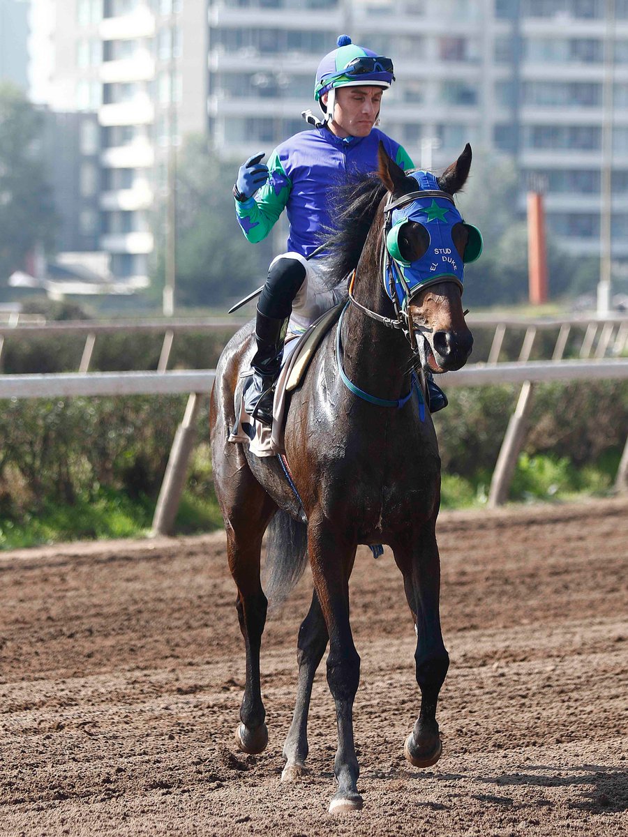 Muy buena semana para todos 😄 Esta semana nos encontraremos el jueves 21 y sábado 23 de agosto en Tu Hipódromo Chile

En la foto Víctor Cifuentes junto a Find Her 🐴