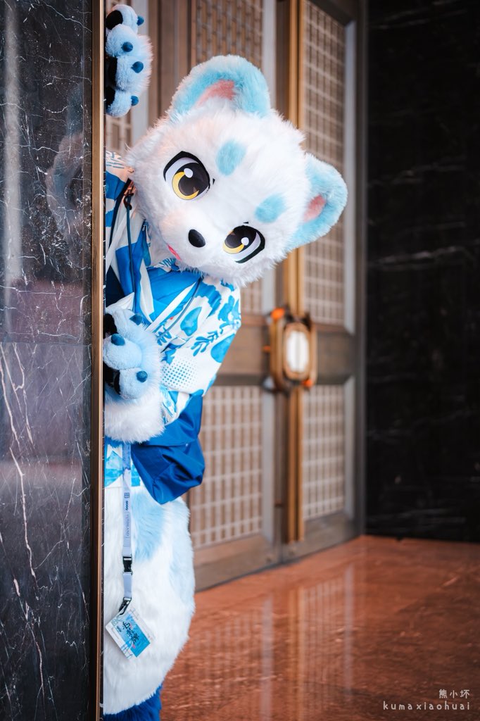 半夜不睡觉在干嘛🐻‍❄️
#FursuitEveryday 
📷:<a href="/kumaxiaohuai/">熊小坏🐻‍❄️</a>