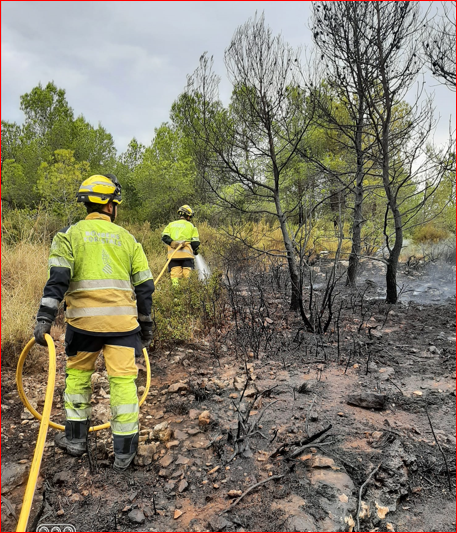 GVAbforestals's tweet photo. 👩‍🚒Una de las muchas imágenes significativa de cómo se está desarrollando la tarde en el interior de las provincias de Valencia y Castellón debido los rayos de las tormentas con numerosos incendios declarados. 

📷Unidad de Navarrés, en el incendio de Millares

💪#LosdeAmarillo https://t.co/FWQwC4PpRJ