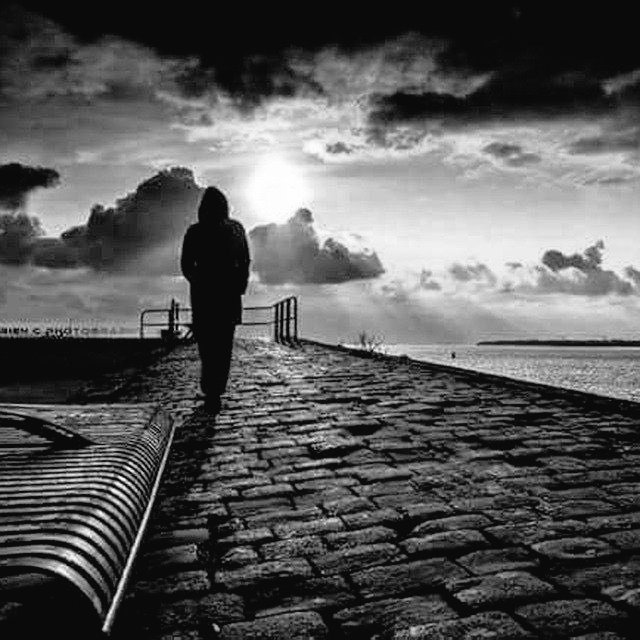 حمد المنيف tweet media