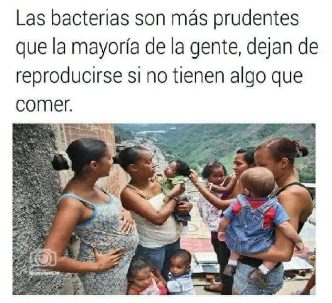 Valeria Vlad (@_dystopiangirl_) on Twitter photo 