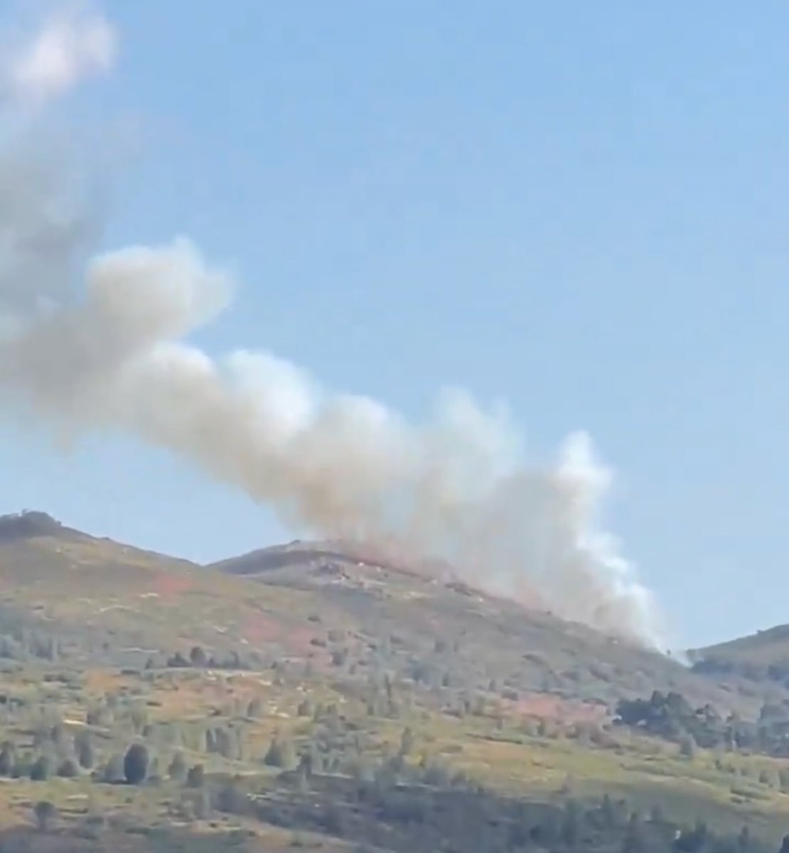 🔥 Xesta (A Lama) D.XIX