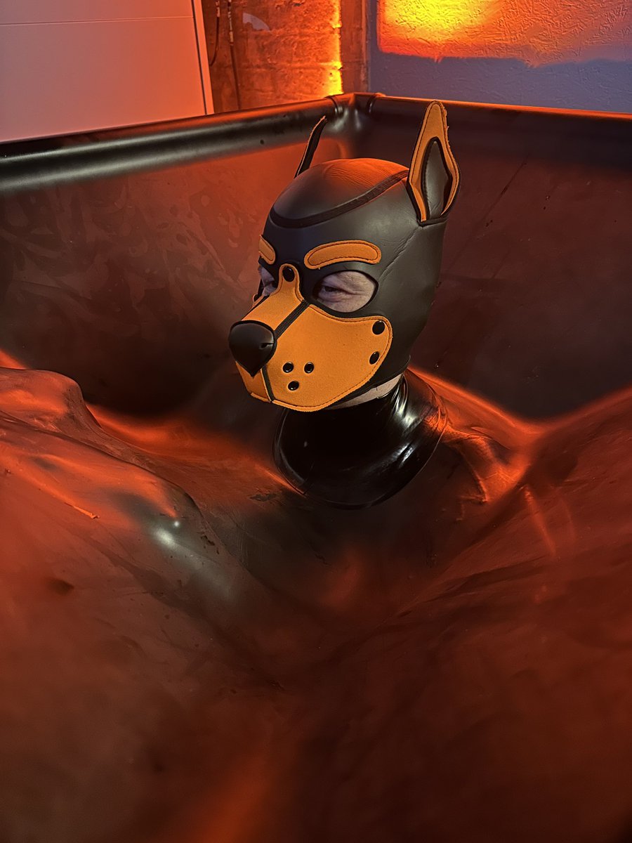 The KinkyBiologist tweet media