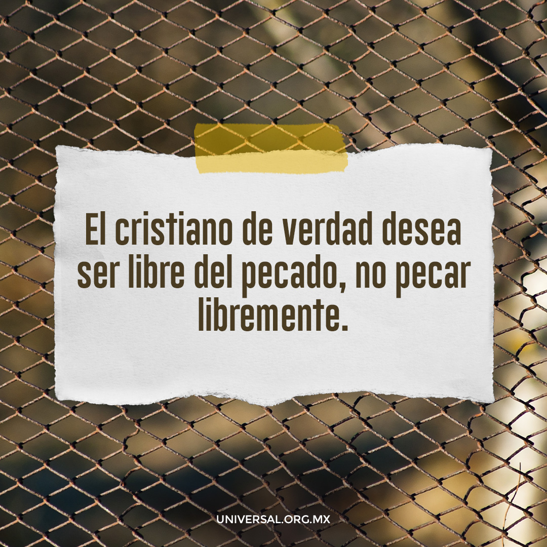 UnivMx's tweet photo. La verdadera libertad está en vivir sin pecado. 🙌 #FeVerdadera #LibresEnCristo
#BuenasNoches https://t.co/6IghWB9yPK