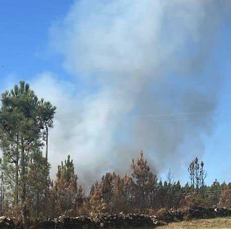 🔥 Serra do Careón (Tordoia) D.III
