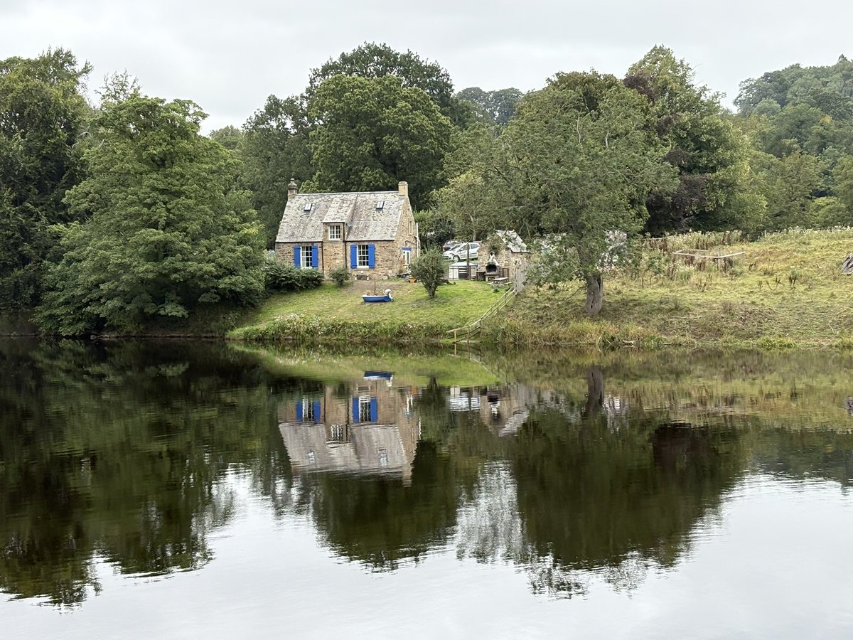 🌱Mark adams tweet media