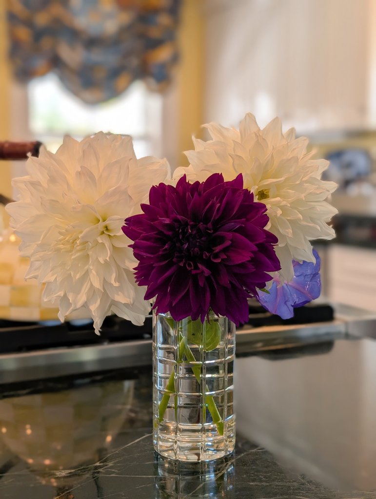 Dalias recién cortadas del jardín 💮