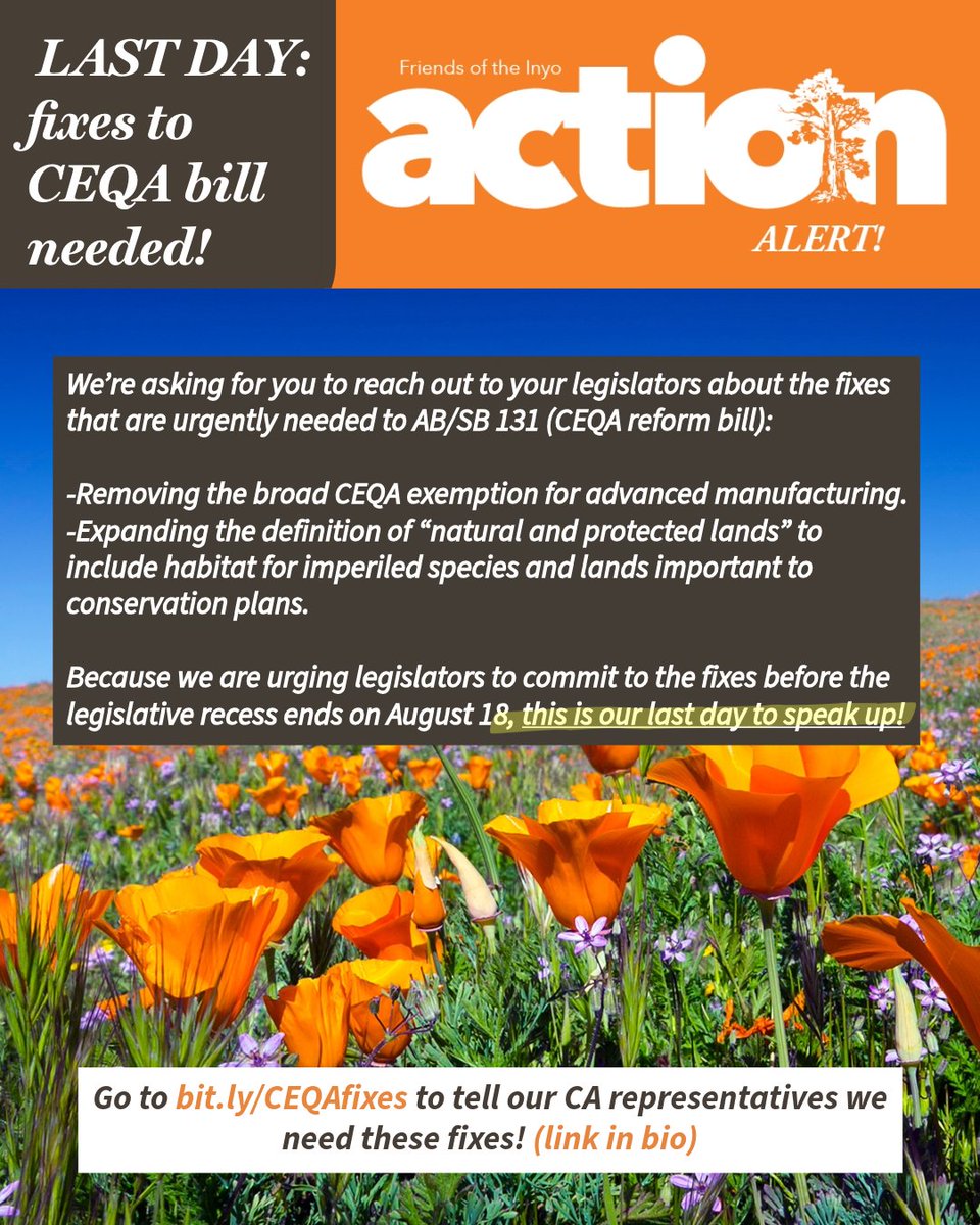 Friends of the Inyo tweet media