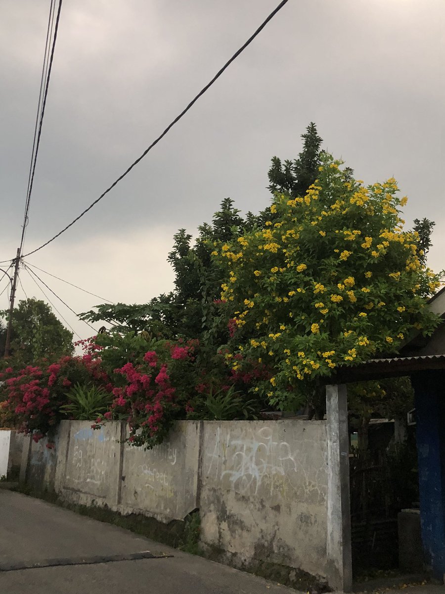 callitdann's tweet image. Gloomy August