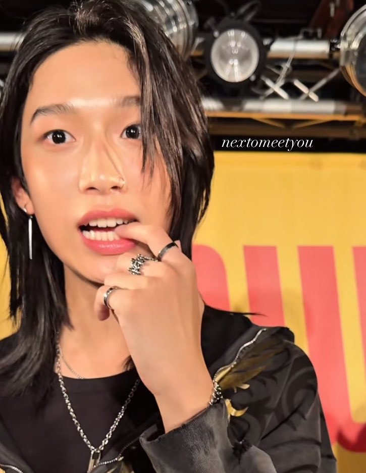 Dumb fox 🦊                              Sly bunny 🐰