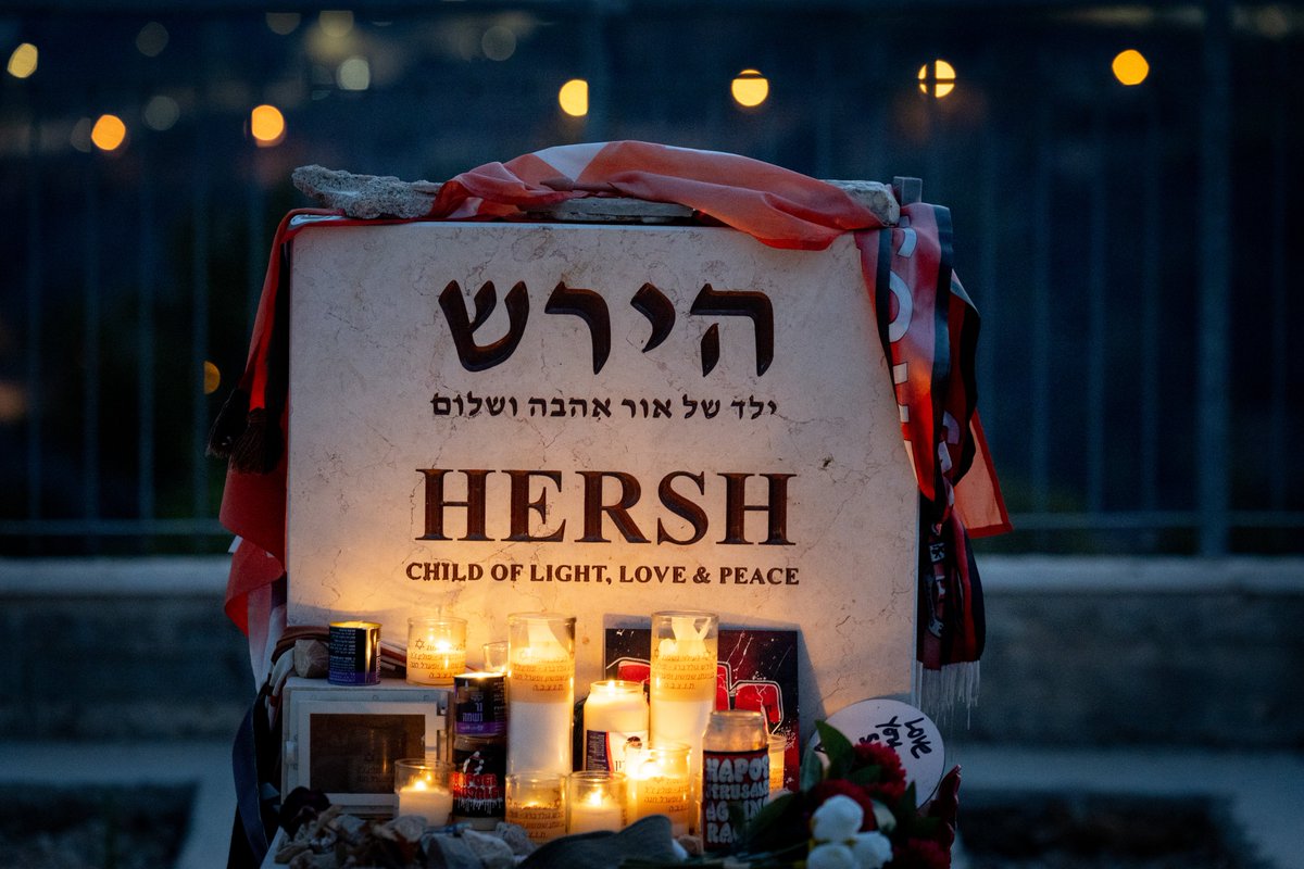 Noa Tishby tweet media