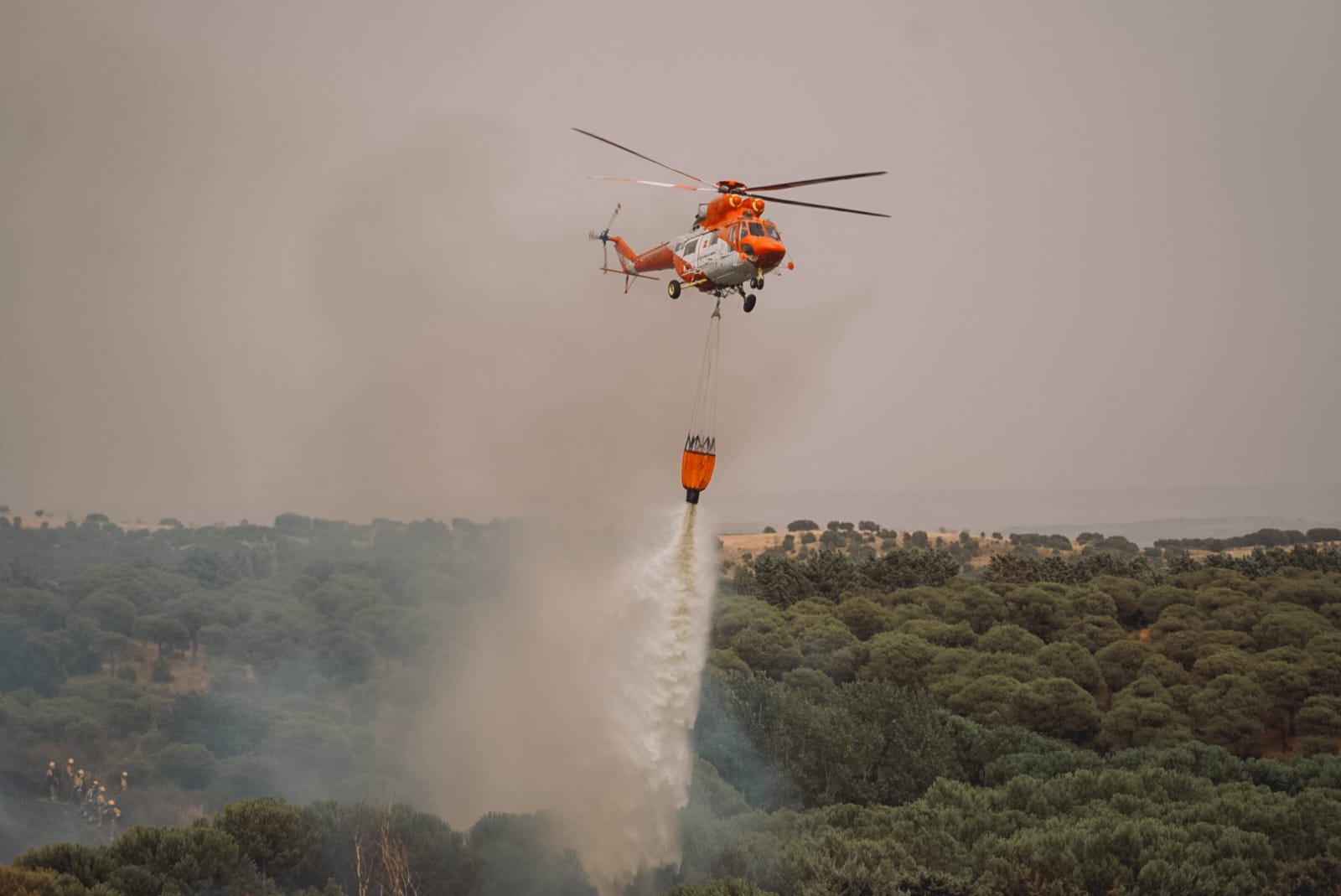 Foto cedida por Ayuntamiento de Colmenar Viejo