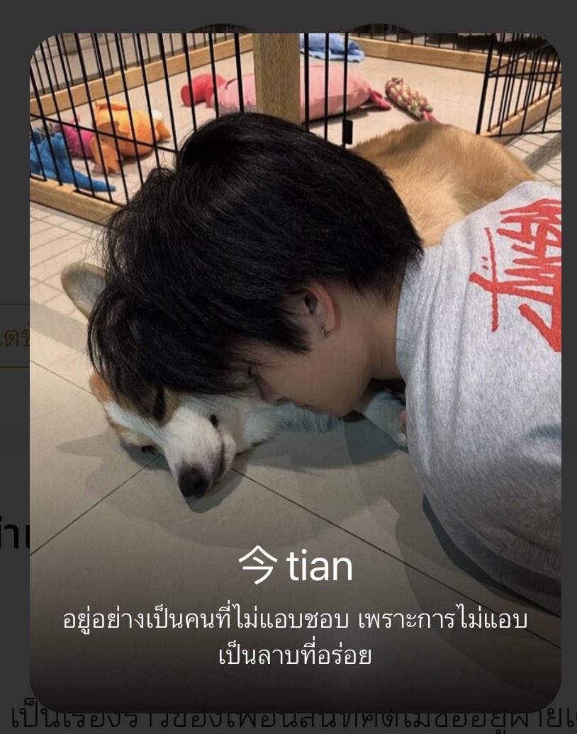 เขียนฝันอยากเขียนนิยายแชท tweet media