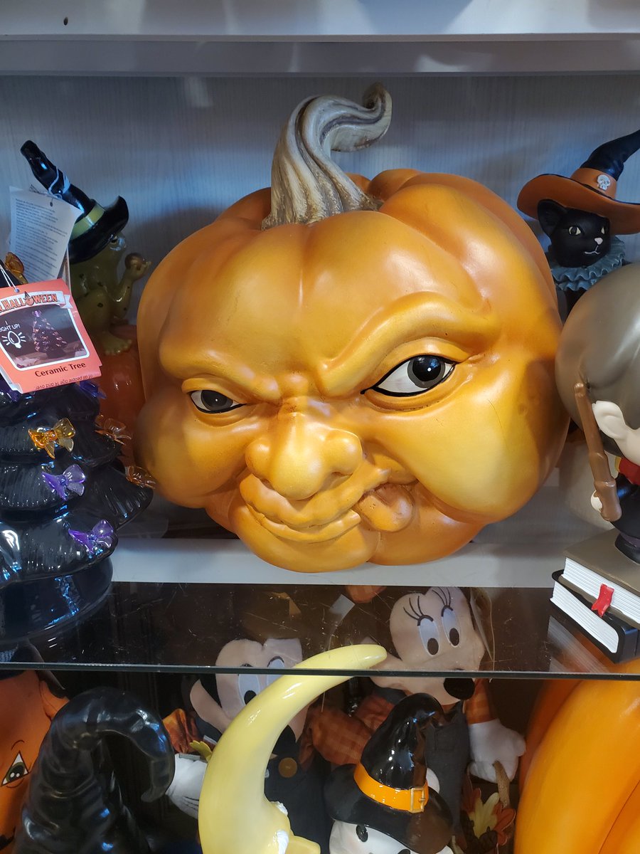 Saw this at the store and really wanted to take it home but where do I put it?