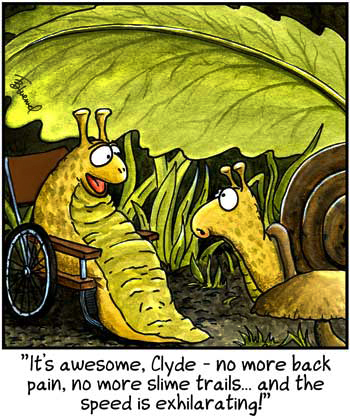 DalePederson's tweet photo. #MondayVibes - It's a #slugfest in #today's #cartoons. First "Bizarro: by Wayno & Piraro and then "Birdbrains" by Thom Blueme! It seems #spies and #mobility #aids abound in the #gastropod #world these days.
#GoodLuck to #gardeners! https://t.co/LlhR8X8K78