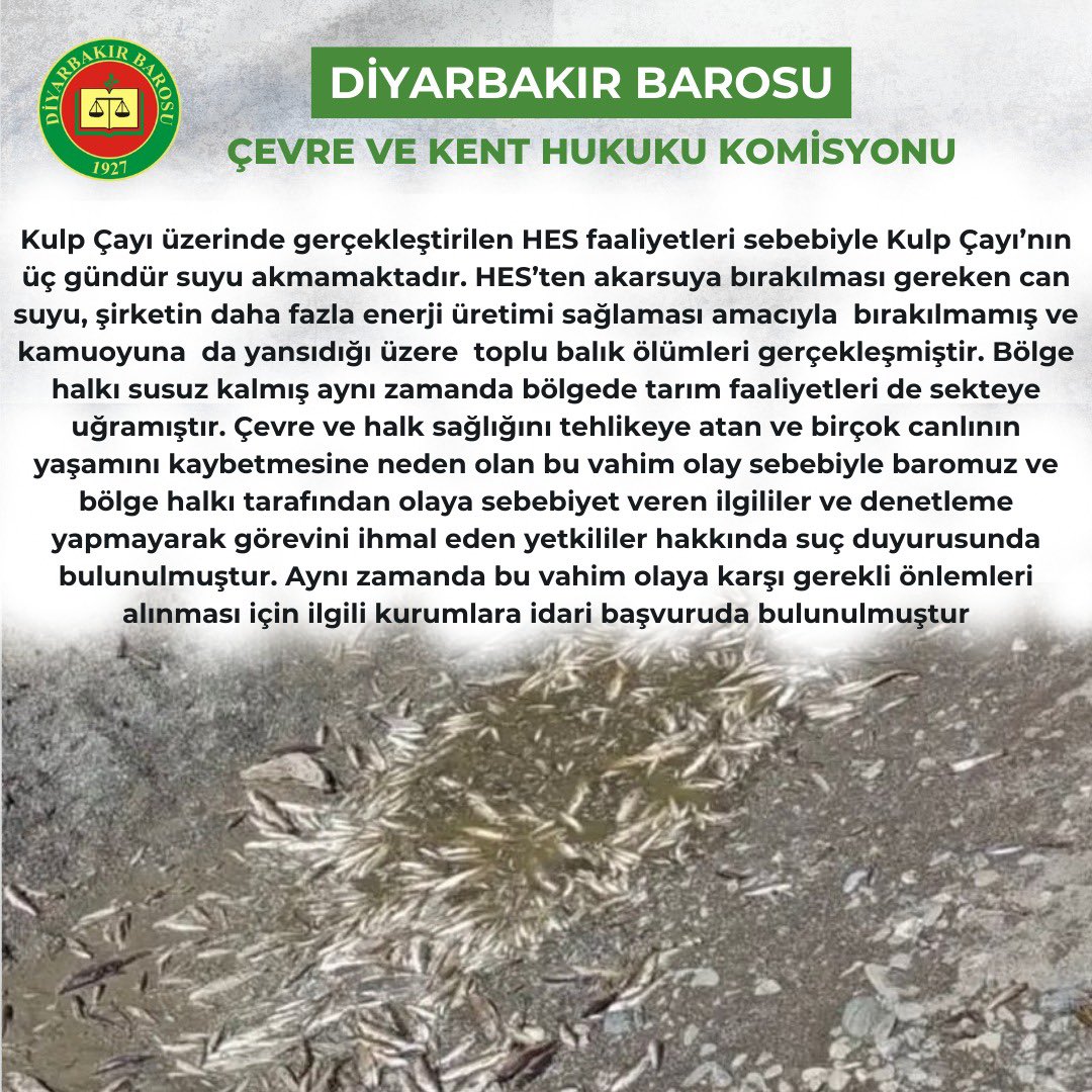 dbcevrekent's tweet image. 