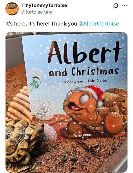 AlbertTortoise's tweet image. Seems us #tortoises can be #speedy after all. Early copies of our New #ALBERTthetortoise #Picturebook ALBERT AND CHRISTMAS are landing. These pals of real #Albert are thrilled. Get ordering to secure your copy. Please Share #pictures and Post #Reviews Alberttortoise.com