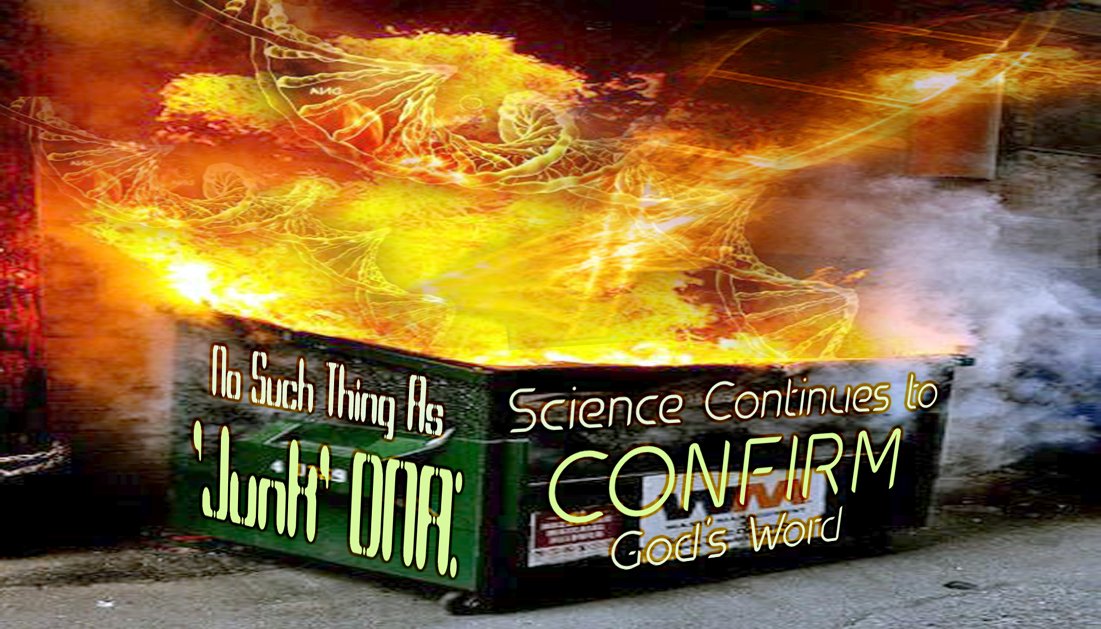 KTHehir's tweet image. Another #Darwinian tenet has been #ironically junked in their dumpster fire of #lies.

#Evolutionary thought is finally catching up with what #creationists have been mocked by #secularists for saying for decades—“junk” #DNA is not junk!

Details: harbingersdaily.com/no-such-thing-… #science