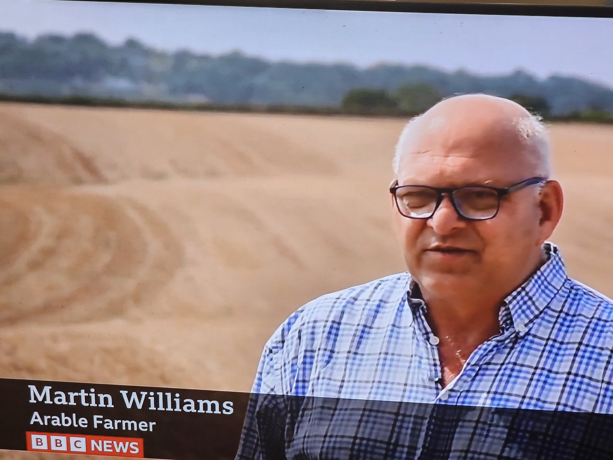 martin williams tweet media