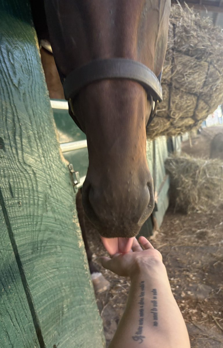 Daydreaming of pepermints 🤍❤️