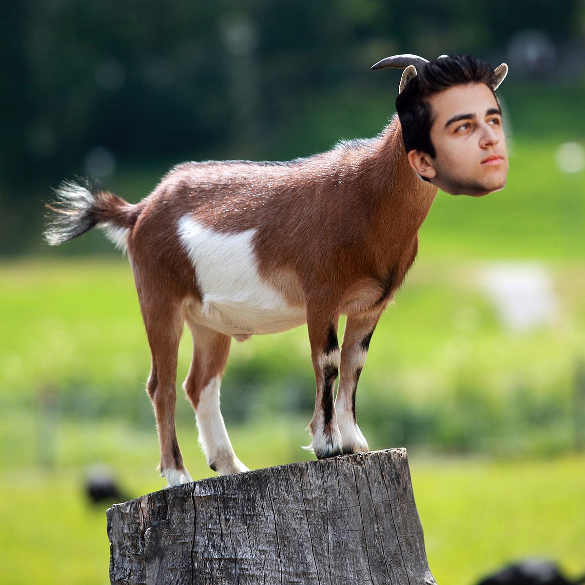 3 weeks until Globals… 12-0 off spawn or? 👀🐐