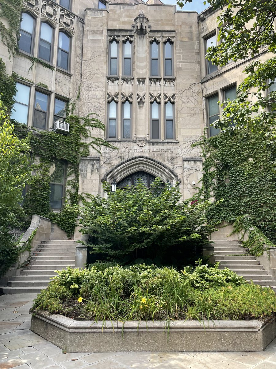 Rumyantseva_D's tweet image. Какие же американские университеты красивые, это, например, малая часть кампуса университета Чикаго. Даже представить сложно, какого это ходить вот так на занятия в такие замки😍