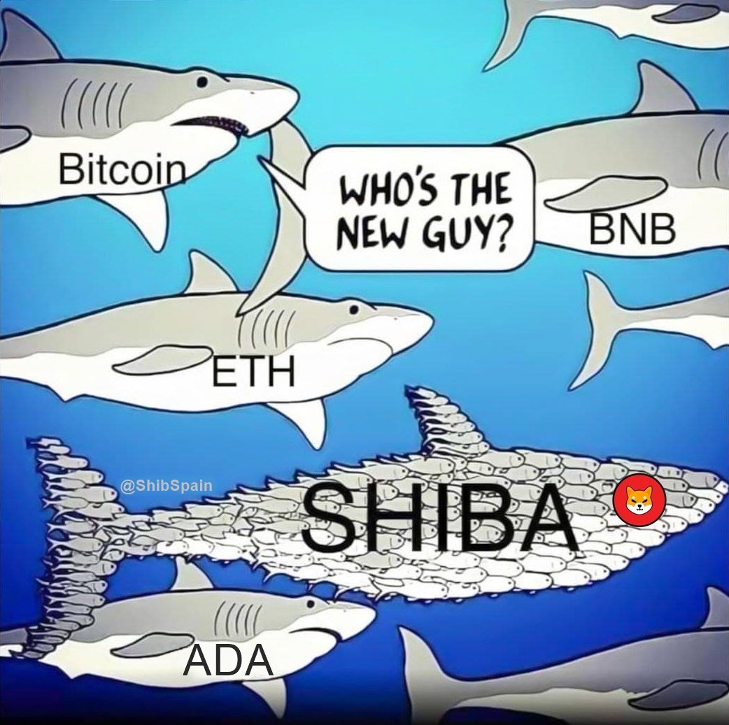 SHIB Mortal tweet media