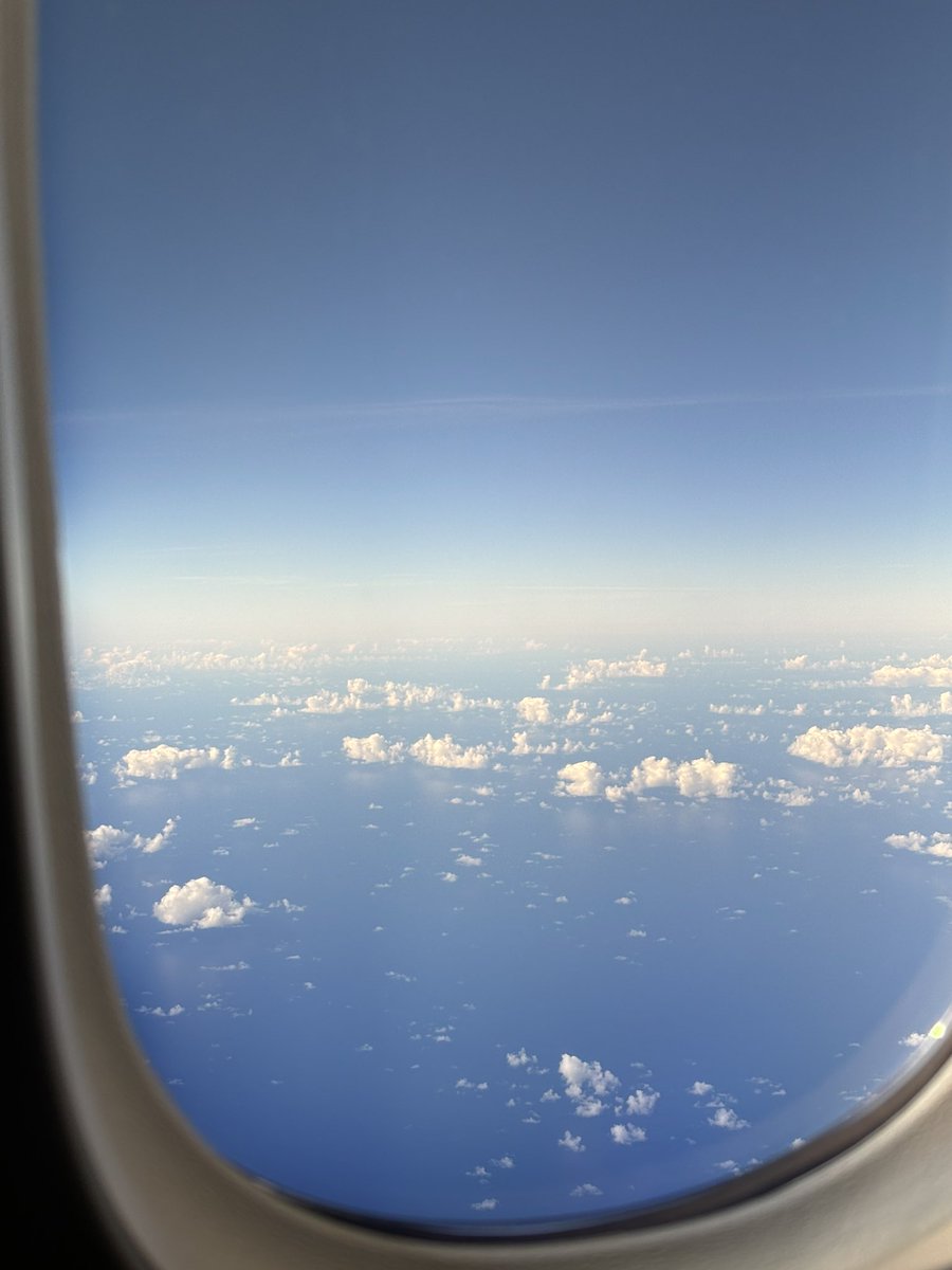 comotur's tweet image. 