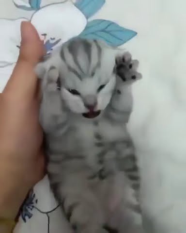 haley 🌧️ (@carpenoctem_art) on Twitter photo 