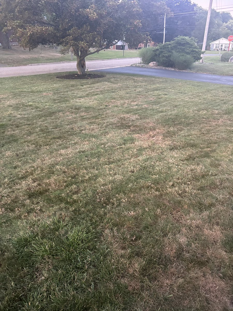 Bryce of Massillon, Ohio who recently signed up for our 50 yard challenge is off the mark !